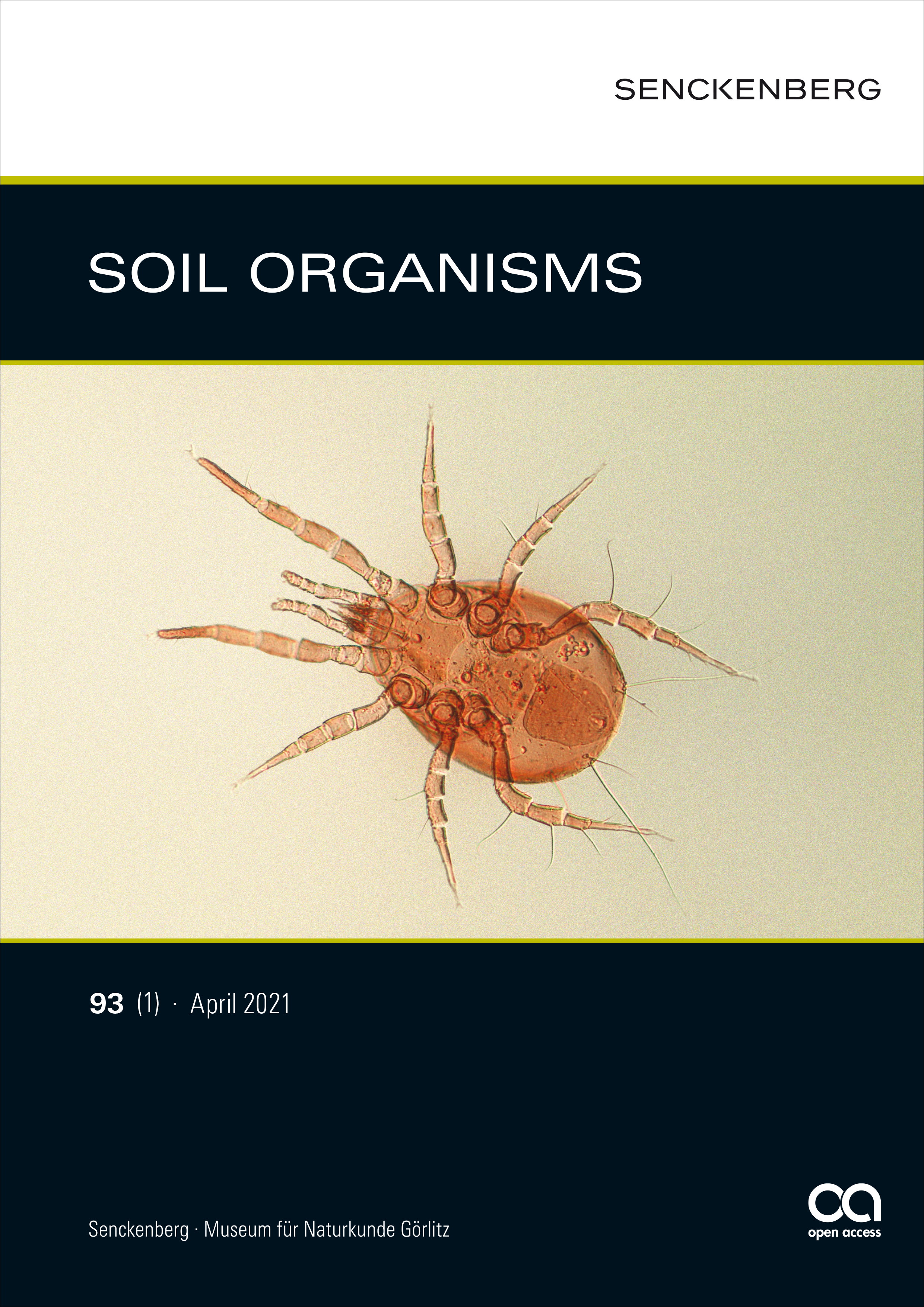 Front cover Amblyseius obtusus (Photo: Axel Christian)