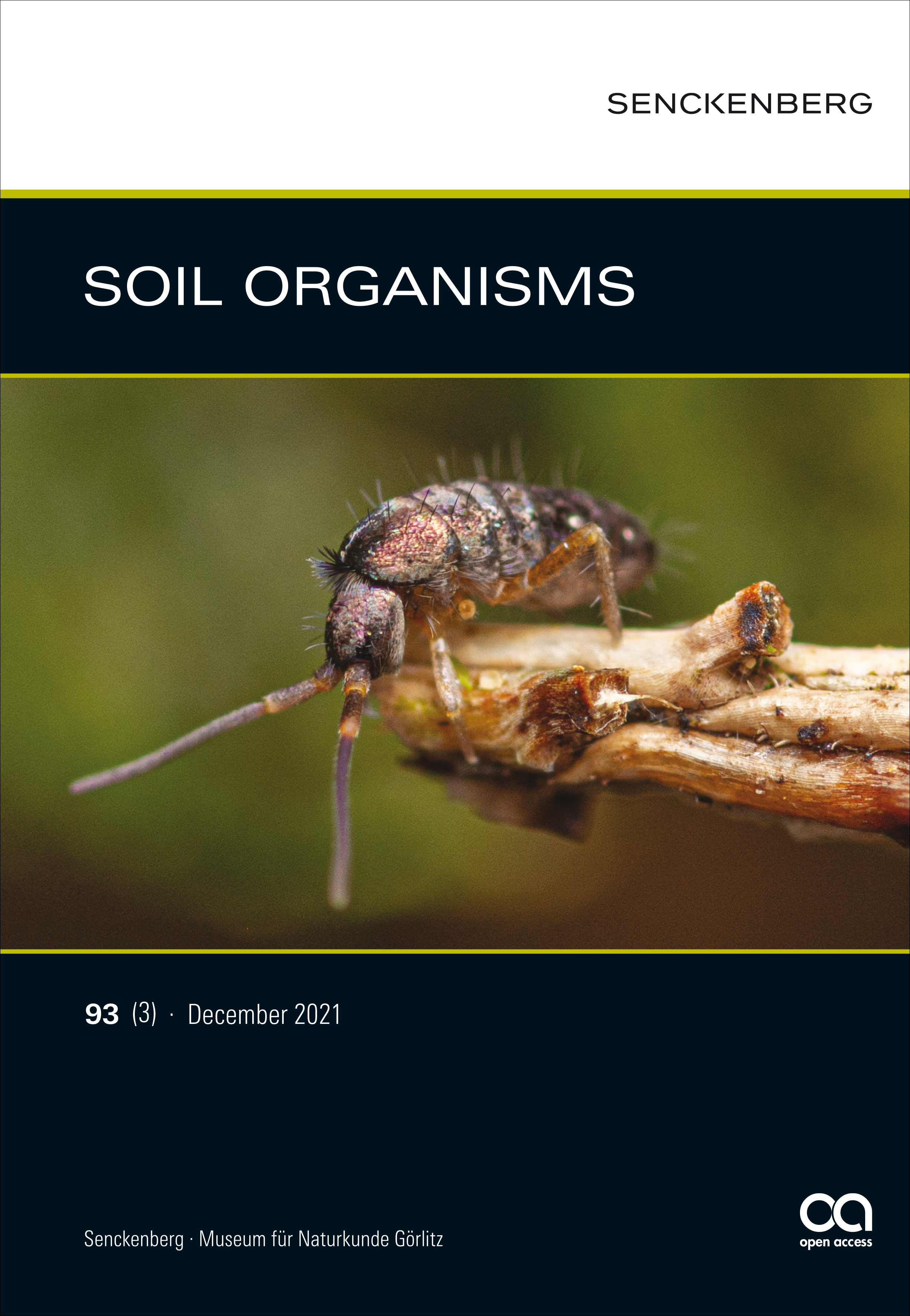 Front cover: Pogonognathellus flavescens (Tullberg, 1871) (Photo: Julia Rieger)