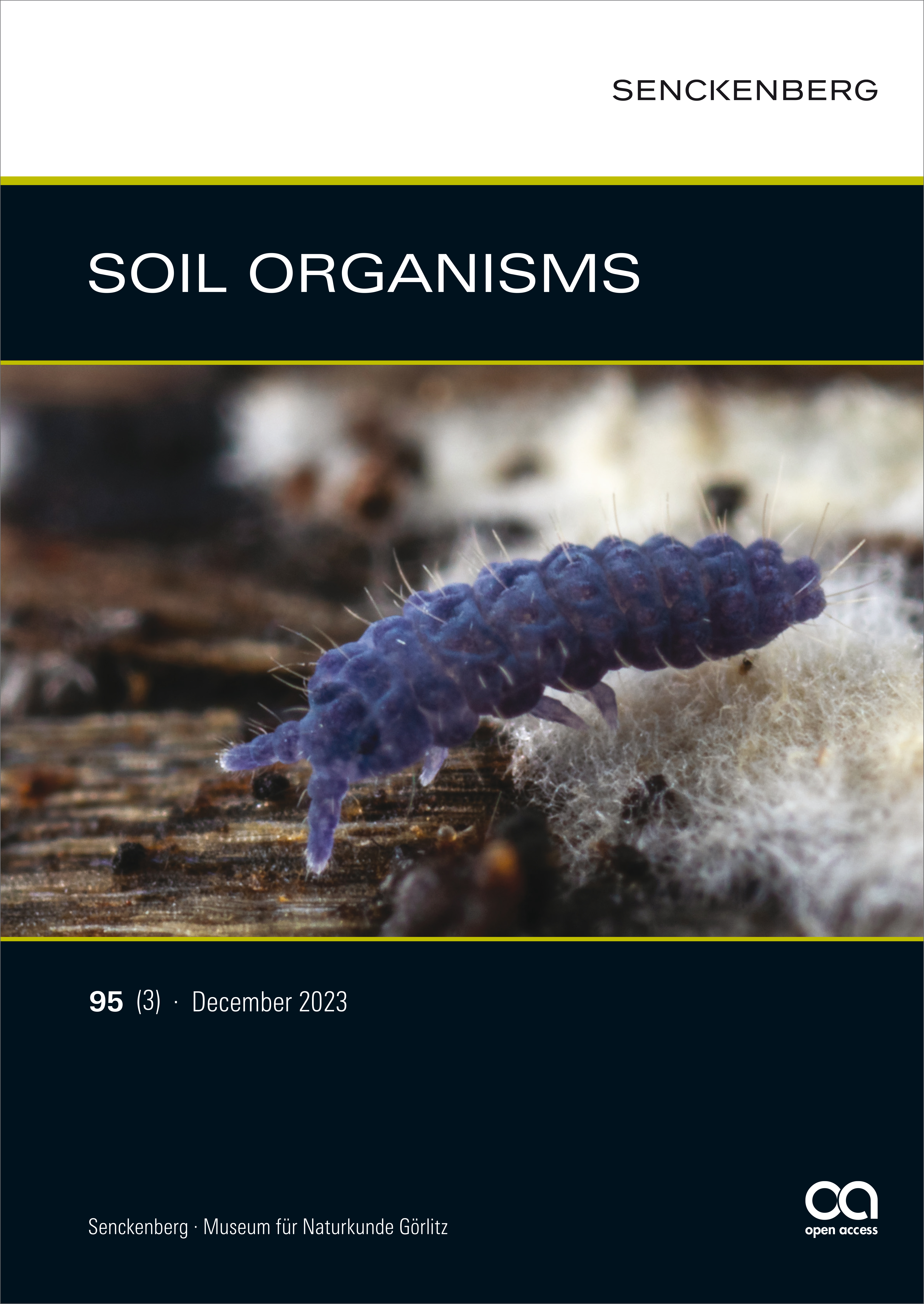 Front cover: Neanura muscorum (Templeton, 1835) [Photo: Julian Taffner (Terra Aliens)]