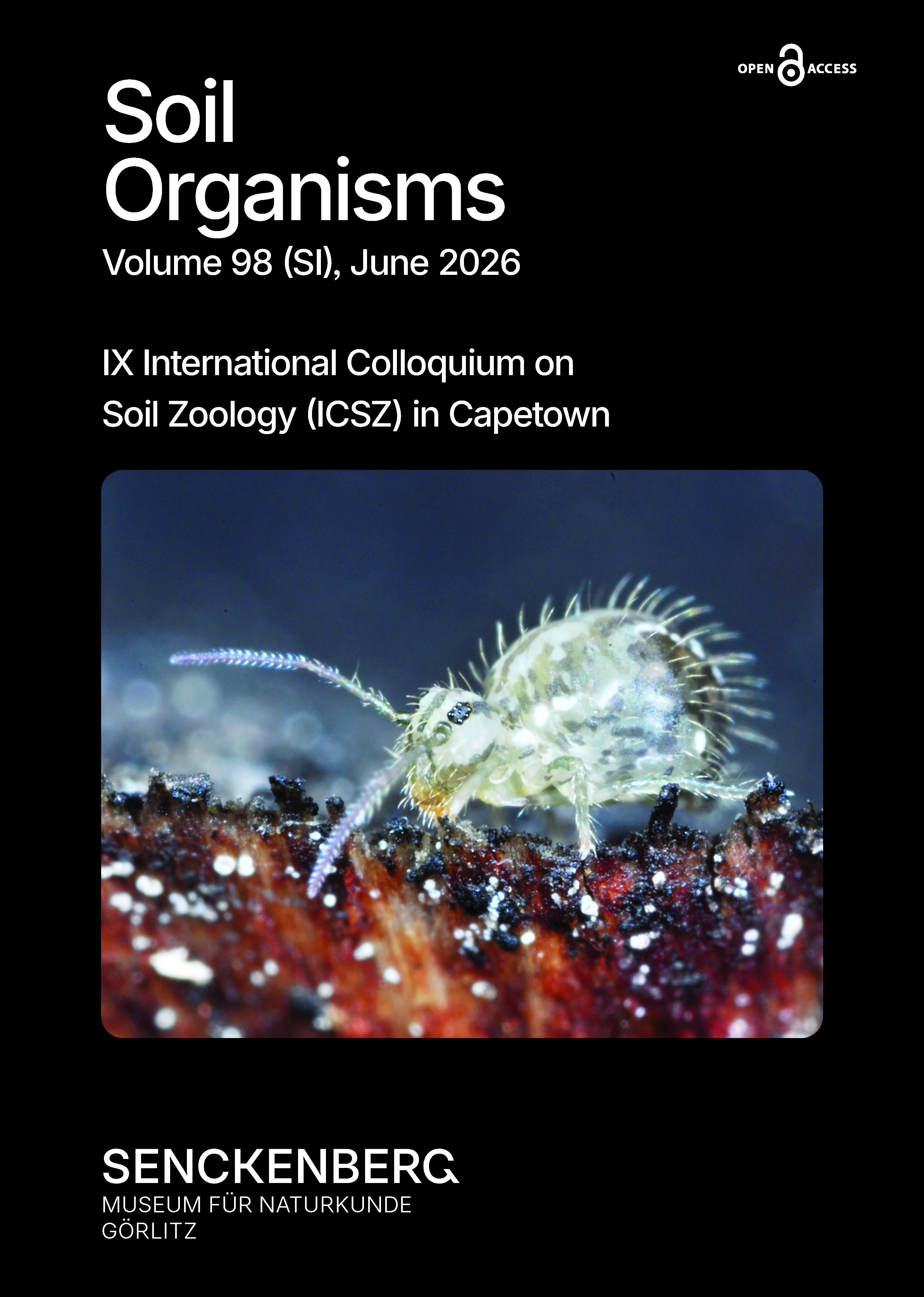 Front cover 98 (SI) 2026: Sminthurus sp. Photo: Philipp Byzov (Moscow, Russia)